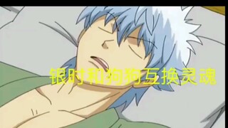# Gintama Saat Gin dan Anjing bertukar jiwa~