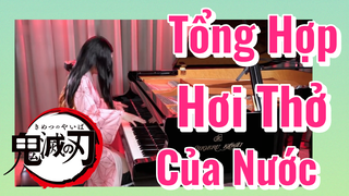 Tổng Hợp Hơi Thở Của Nước