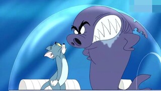 鲨鱼想吃汤姆猫，结果进去后才发现原来这猫才是王者
