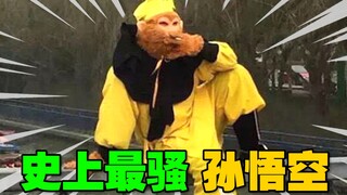 ⚡这TM是孙悟空被黑的最惨的一次！⚡