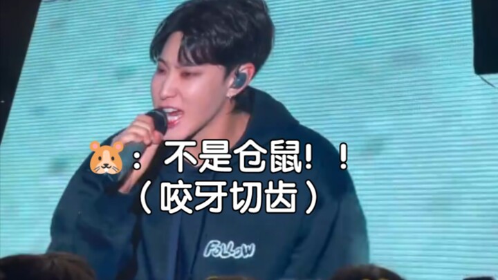 He’s seriously losing it!! “It’s not a hamster!”