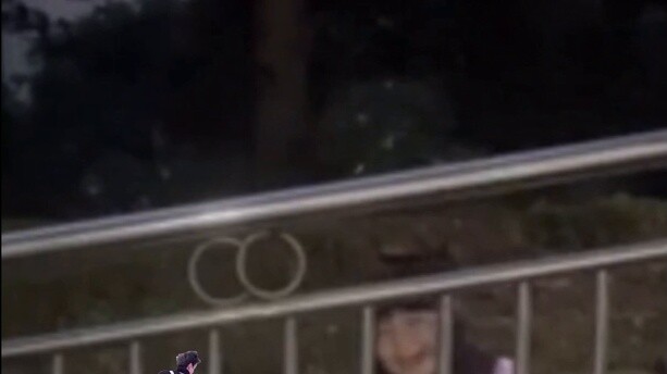 "Brother, can you dodge and shake?"