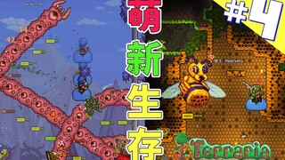 Terraria Beginner Survival 4