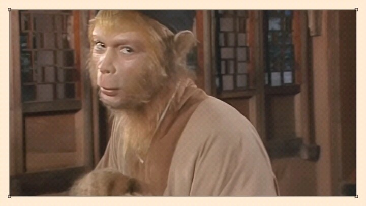 “Baru kemudian aku sadar, kecerdasan Si Monyet ini benar-benar di atas rata-rata!”