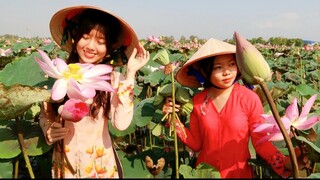 Thăm Ruộng Sen Về Nấu Ngay Món Cơm Hấp Lá Sen Thơm Ngát ● Nắng Đẹp Miền Tây | NĐMT# 70