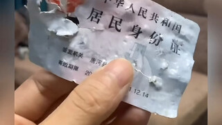 “ 不养狗的看着挺治愈的 ”