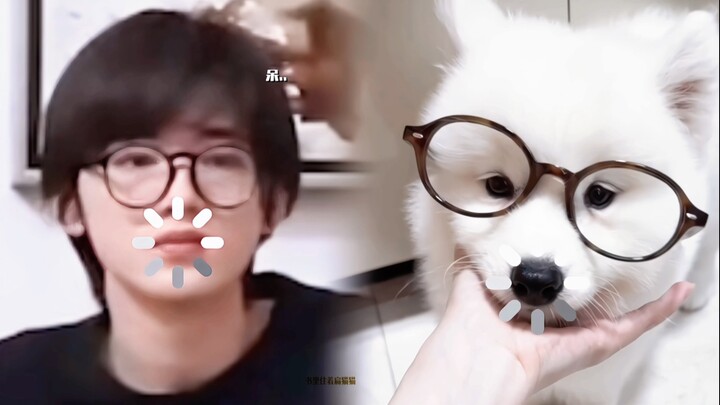 แบรนด์แอมบาสเดอร์ซาโมยีแห่งวงการถั่ว (ตอนที่ 3)