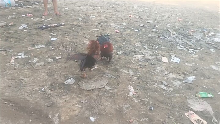 Sakto lang laruan