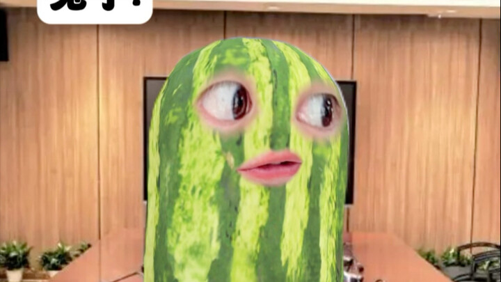 กระต่าย: ฉันต่อยทุกคน รวมถึงตัวเองด้วย!