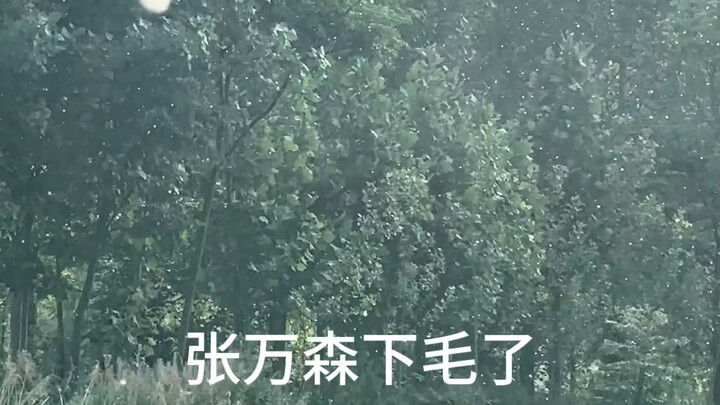 จางว่านเซิ่นขนลุกแล้ว, ฉันคันยุบยิบเลย