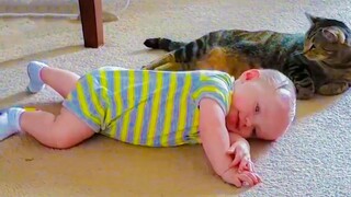 จะเกิดอะไรขึ้นเมื่อเด็กเล่นกับแมว - วิดีโอตลกเด็ก