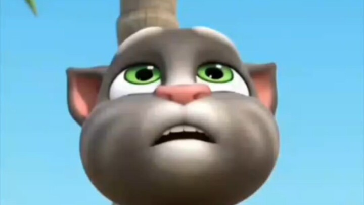 Talking Tom Cat