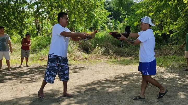 BULIK VS BUYUGIN! TALO ANG KAIBIGAN KO!!!