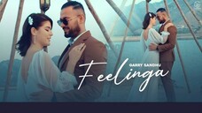 Feelinga Garry Sandhu Adhi Tape Latest Video Song 2021 Fresh Media Records music video