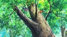 Mitsubachi Hacchi Honey Bee Hutch | Animasi hacchi sebatang kara