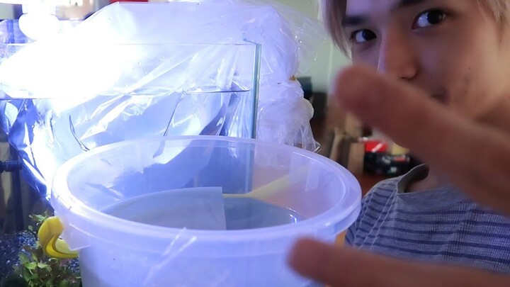 [New Cultural Technology Institute] Kids, are you all okay...? | Taeyong’s Inquisitive Life (with Ch