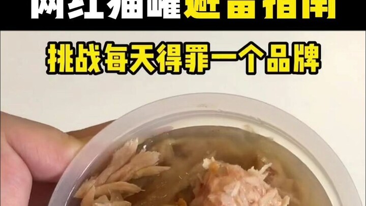 Must-Read for First-Time Cat Owners: Avoid These Internet-Famous Cat Cans!