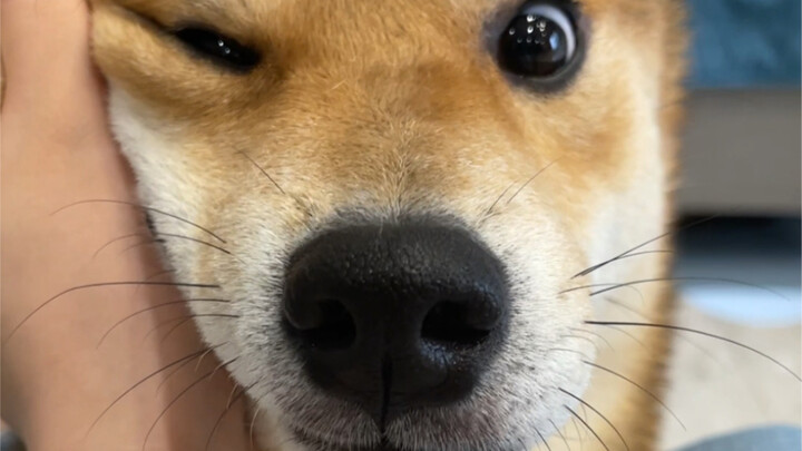 Mom's Big Boy (Charm Upgrade)