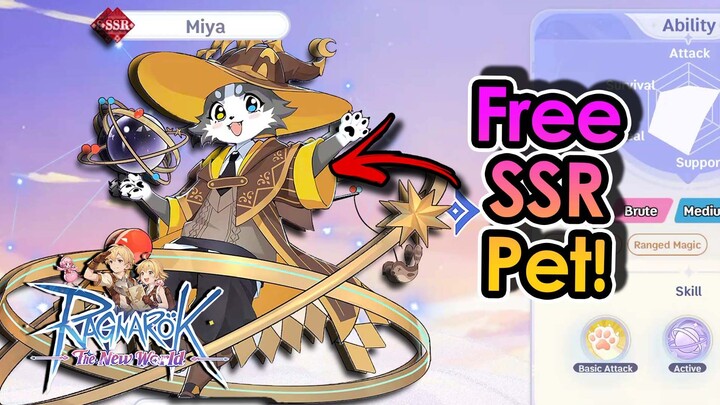 [ROTNW] STOP Wasting Your Gacha! Catch FREE SR & SSR Pets in Ragnarok: The New World! | King Spade