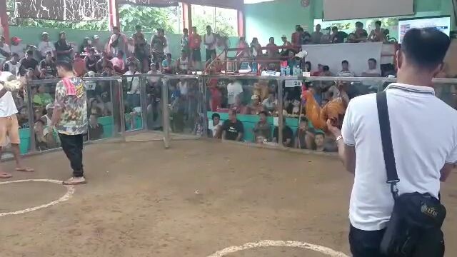 3hits