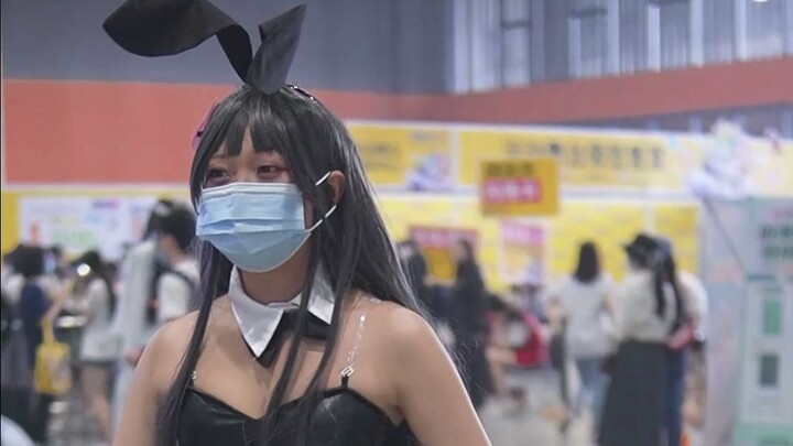 Cosplay Sakurajima Mai Bunny Girl Senior Firefly Comic Exhibition 24th