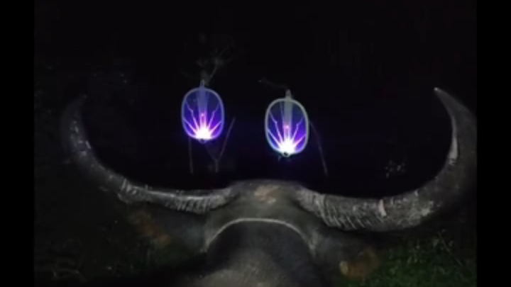 It's almost the end of the month, I need to get some results