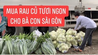 Mua 1.2 tấn rau củ cho Trang LTP kết hợp với 200 phần quà của Khương Dừa gởi lên Sài Gòn