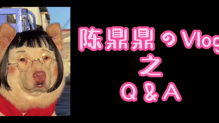 Things About Chen Dingding from Pandas' Hall: Q&A by Wo Lou Ge [Part 2]