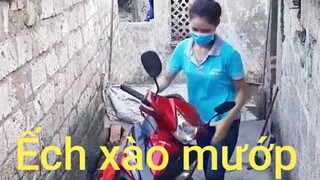 ẾCH XÀO MƯỚP NON.và ếch nấu canh măng rất ngon. Biển Nguyễn ngọc