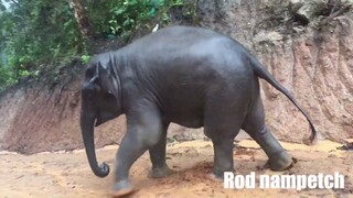 วันนี้ฝนตกทั้งวันเลย😌แบบนี้น้ำเพชรสนุกเลยจิ555🤗