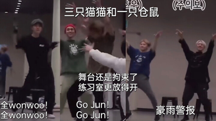 【96 giây của ba chú mèo và một chú chuột hamster!】 Toàn là Wonwoo! Toàn là Wonwoo! Go Jun! Go Jun! B