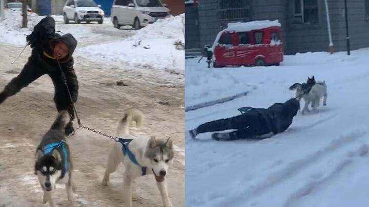 A man took two dogs to play in the snow, but they were dragged and rubbed on the ground. Netizens in