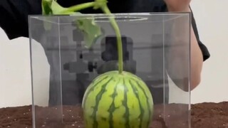 Interesting experiment.