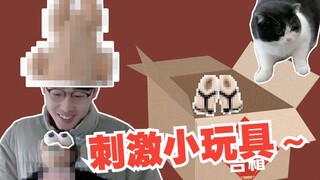 姐妹送的玩具突然攻击我