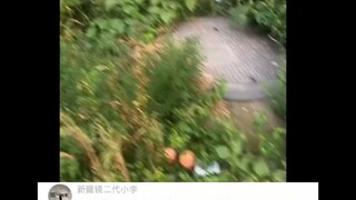 The Coolest Apartment Complex I've Ever Encountered Delivering Food