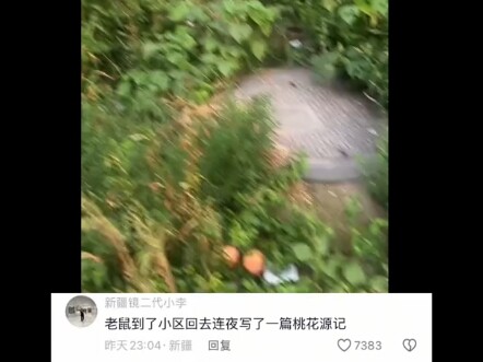 送外卖遇见的史上最牛逼小区