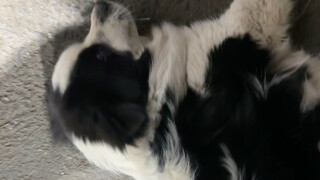 يبدو أن جميع الألوان بالأبيض والأسود تلتصق بي