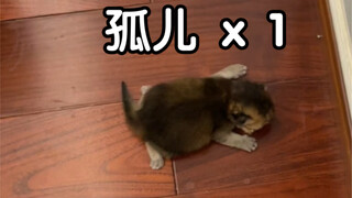 当代独立女性苏醒了！