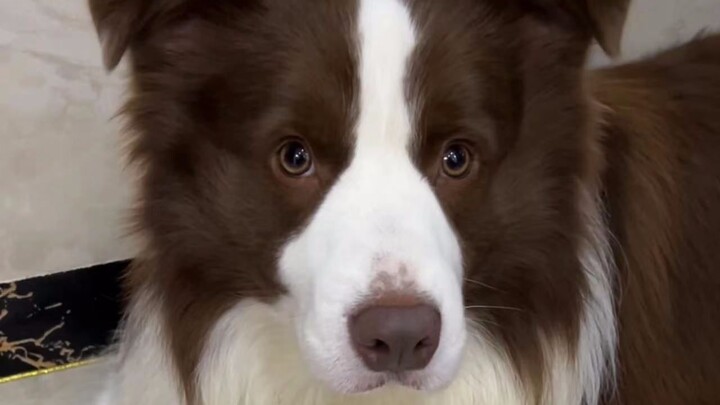 Just bought these cotton slippers—they’re surprisingly cool and comfy!