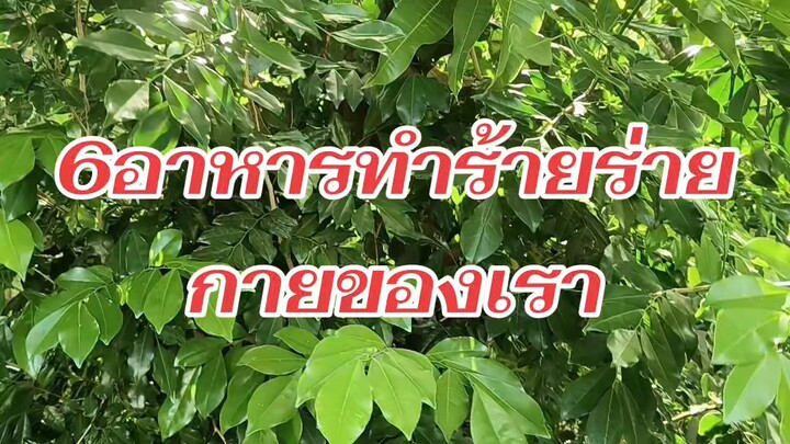 6อาหารพรายการเดินทางของเลือด
