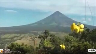 愛不到的人，就算了吧，別恨，別怨，別糾纏，你才能在傷過痛過之後，得以治癒，得以解脫。