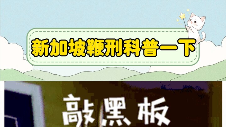 Thế mới nói an ninh ở Singapore tốt quá mà! Đố ai dám làm càn nữa…