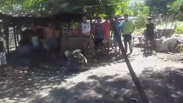 kanina lang mga boss panalo tayo