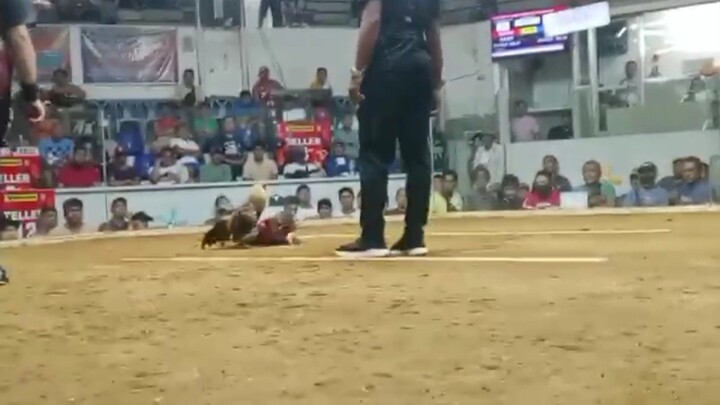 di nkaporma ang kalaban ni super bulik😀😀😀