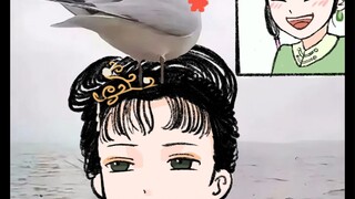 这儿有只呆雁，发给林妹妹看！！！