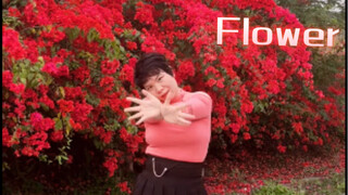 Jisoo的Flower 我来啦