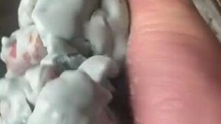 "ของไหลไม่เป็นนิวตัน" สุดมหัศจรรย์: แป้งข้าวโพด 2 ถ้วย + น้ำ 1 ถ้วย + สีผสมอาหาร