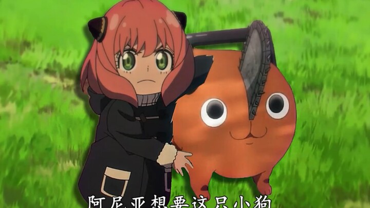 “为了世界和平 阿尼亚变身电锯恶魔也很正常吧”😭😭