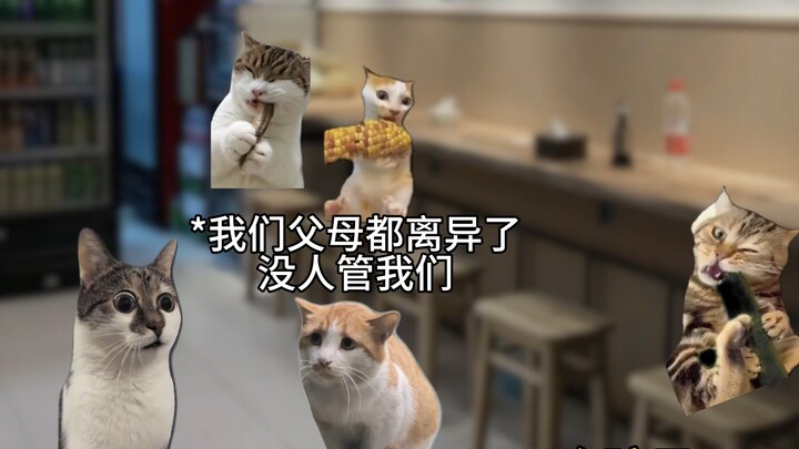 35年让七百多名浪子走向正轨