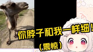 Baicai watched Camel "Sure enough, the acid-resistant king only failed in one intermediate challenge